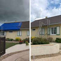 Elagage Services Paris | Hoerter
