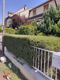 Elagueur Jardinier Paysagiste Paul Drancy 93 Taille de Haies Abattage Pose de Pelouse Devis Gratuit