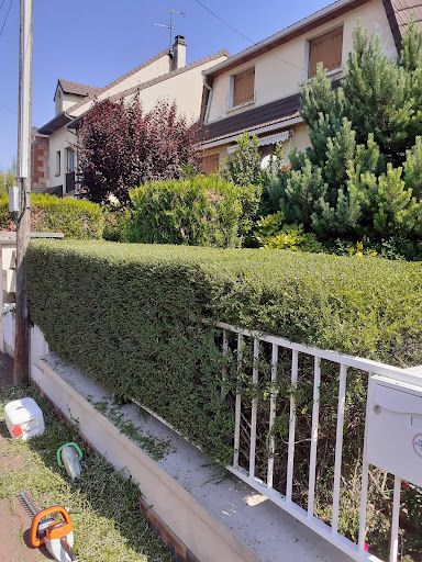 Elagueur Jardinier Paysagiste Paul Drancy 93 Taille de Haies Abattage Pose de Pelouse Devis Gratuit
