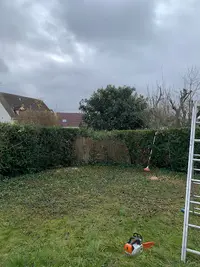 Sauser Élagage Abattage