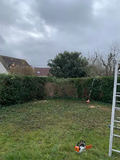 Sauser Élagage Abattage