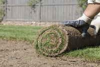 Elagueur Argenteuil 95 Jardinier Paysagiste Creation Pose Pelouse | Sw Espaces Verts
