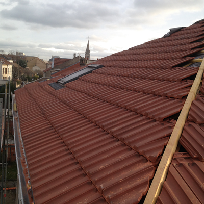 Reynard Steven