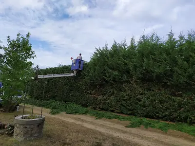 Baum Élagage