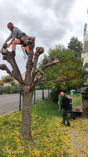 Elag67