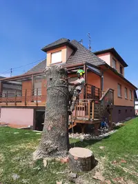 l'Écureuil d'Alsace