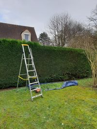 Jaques Jardinier Élagueur Jadinage Elagage