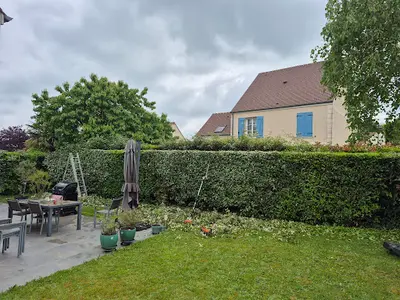 Meinhard Élagage - Seine-et-marne 77