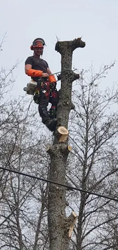 Élagage Gazeaux Entretiens d'Espaces Verts