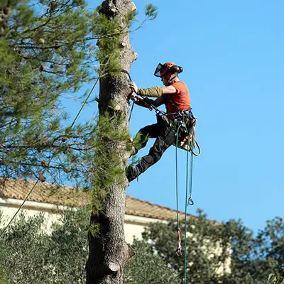 Entreprise Emmanuel Miclet