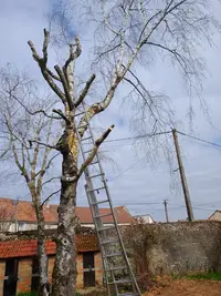 Rj Elagueur