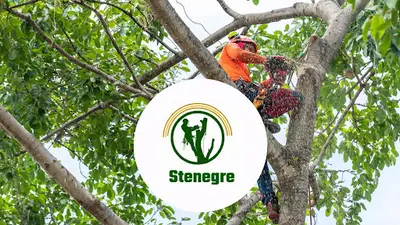 Stenegre