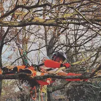 C’est Barty Dans L’arbre