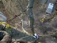 Arbre et Montagne