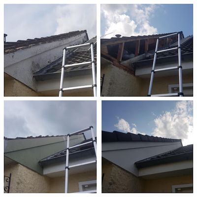 Dauber Couverture - Couvreur Reparation Nettoyage Rénovation Recherche Fuites Toiture Peinture Val-d Oise 95 Ezanville