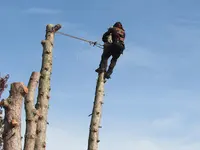 Chti-elagage - Élagueur Services Entretien Création Pelouse Espaces Vert Abattage Arbres Nord 59 Lille Faches-thumesnil