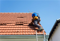 Pro Habitat 57