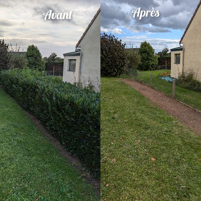 Sp Multi-services / Samuel Pena Jardinier