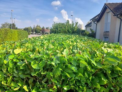 Lc Jardinier Paysagiste