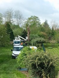 La Main Verte