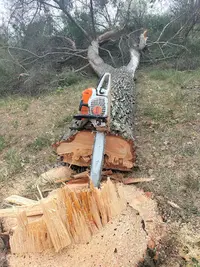 Gf Elagage