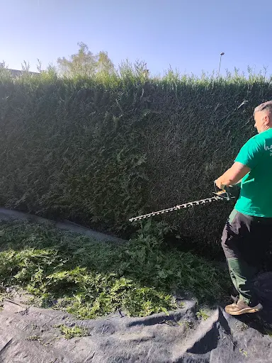 Jl Espace Vert