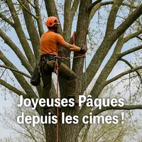 Arb Ouest - Taille Raisonnee et Soins aux Arbres