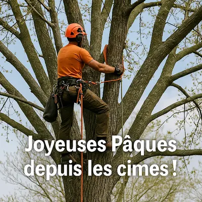 Arb Ouest - Taille Raisonnee et Soins aux Arbres