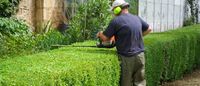 Ulas Jardinage