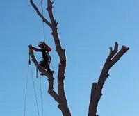 Evasion et Verticales