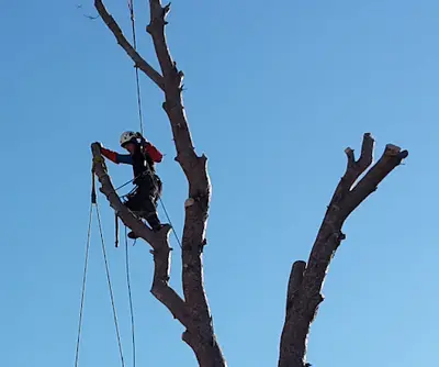 Evasion et Verticales