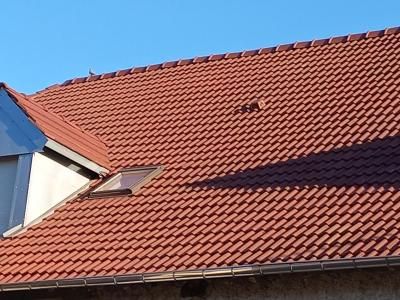 Couvreur Decobecq 70 Père et Fils : Couvreur