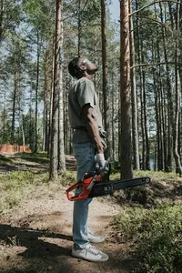 Chardela Jean-guy - Abattage et Élagage À Muret