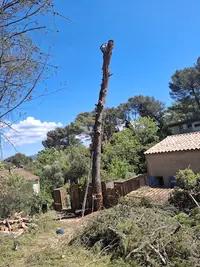 Cg-élagage - Abbatage et Entretiens des Jardins