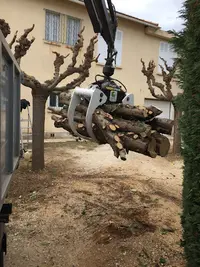 Élagage G.d.a.g