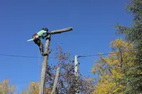 Arbres et Techniques
