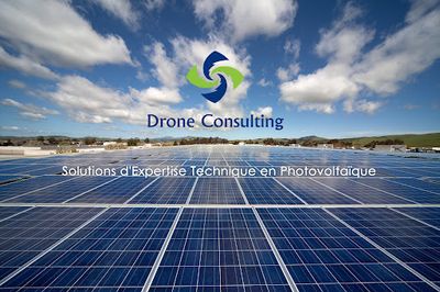 Drone Consulting