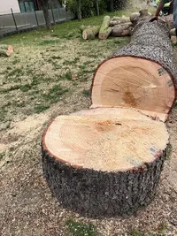 Jrt Élagage