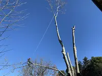 Entre Terre et Ciel