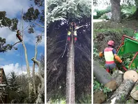 l'Ours des Arbres Parcs&jardins Élagage et Abattage d'Arbres Entretien d'Espaces Verts