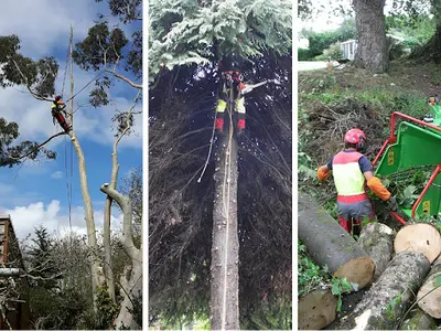 l'Ours des Arbres Parcs&jardins Élagage et Abattage d'Arbres Entretien d'Espaces Verts