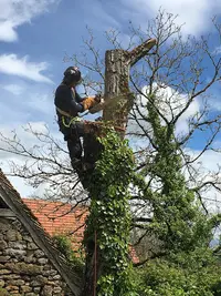 Elag24 Service Élagage