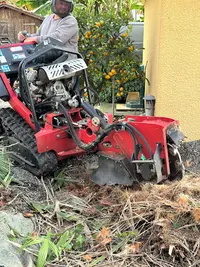 Azais Abattage Élagage