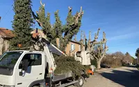 Dany Élagage Angoulême Charente