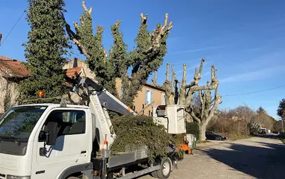 Dany Élagage Angoulême Charente