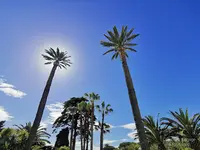 Cambium Elagage et Paysages