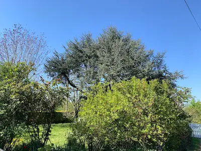 Lagrene Entretiens