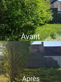 Oligreen Débroussaillage Élagage