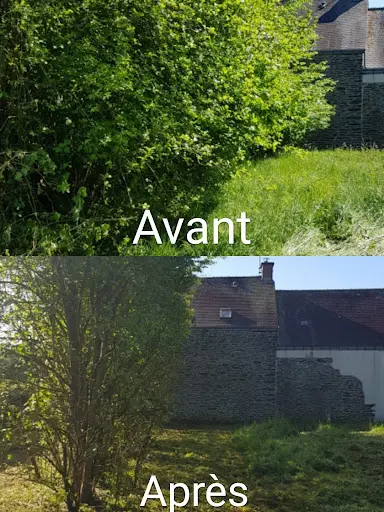 Oligreen Débroussaillage Élagage