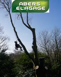 Abers Elagage